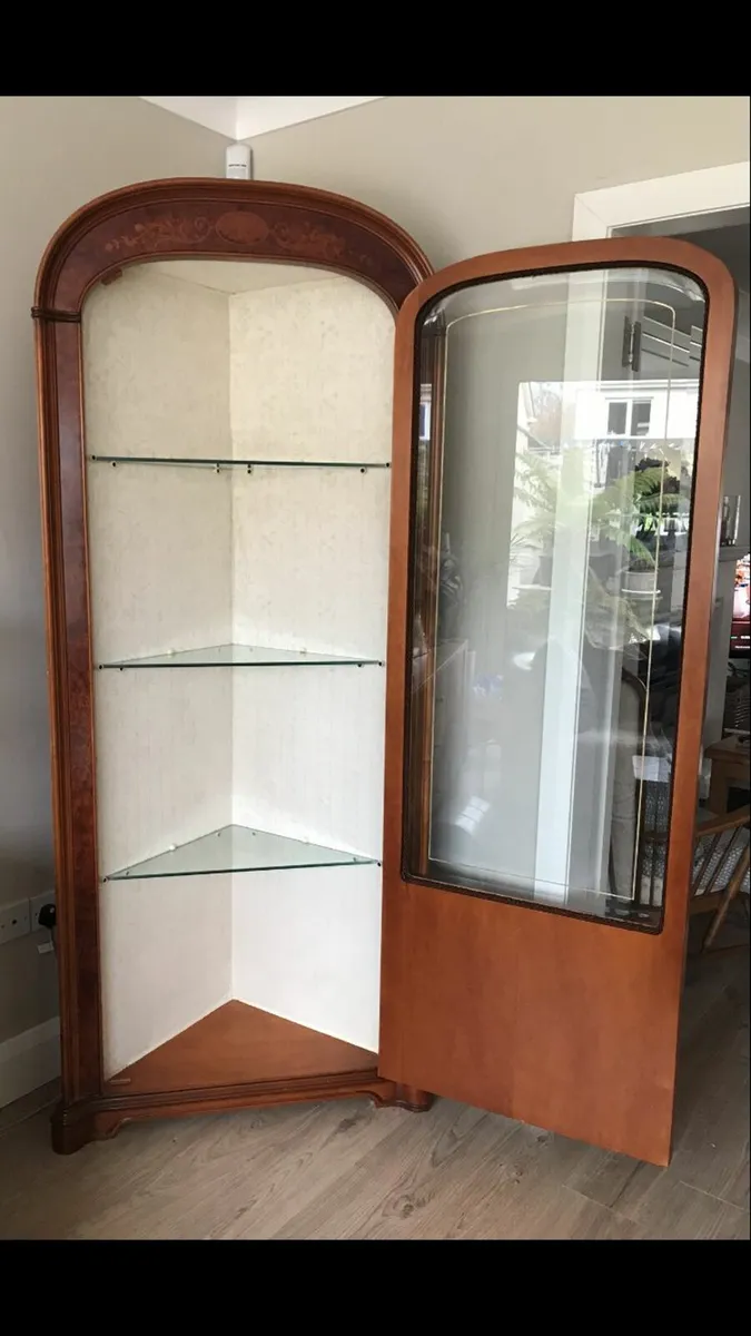 Vintage Sitting/Living Room Corner Cabinet - Image 4