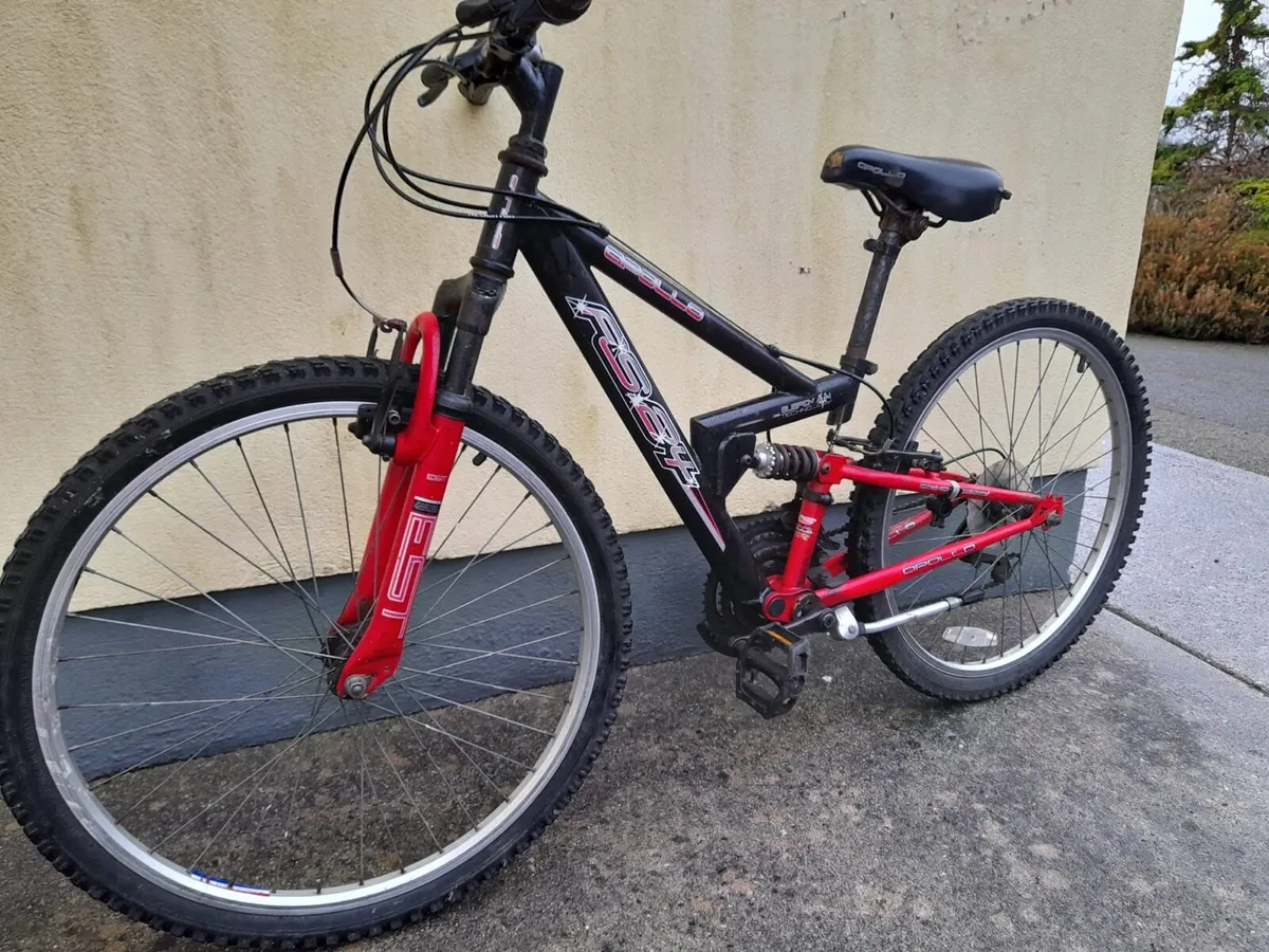 Apollo fs24 2024 mountain bike