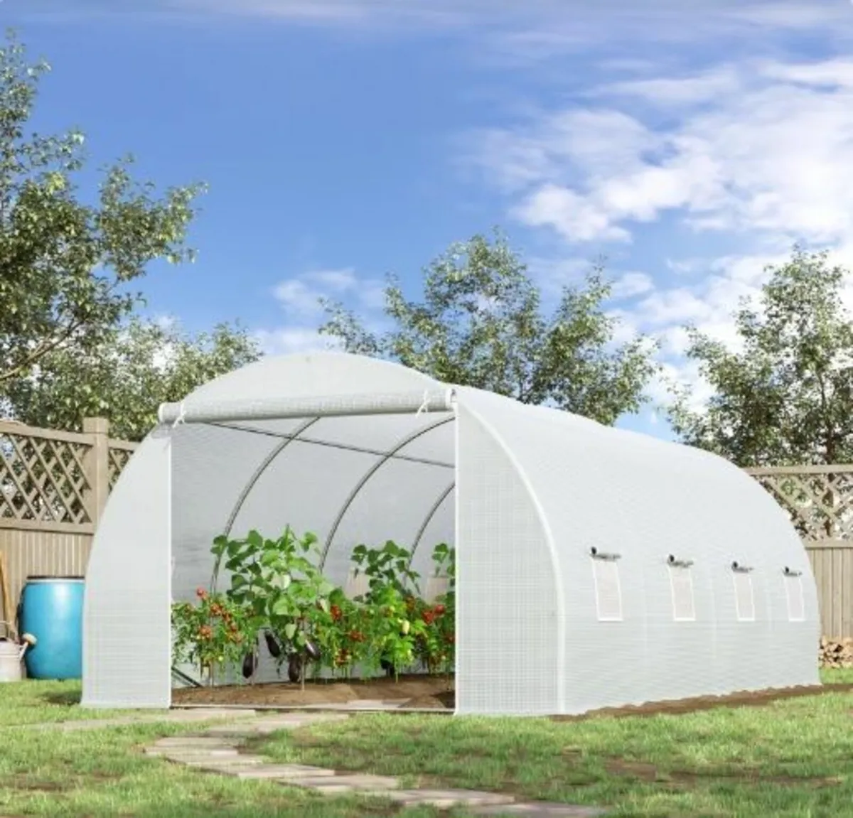 POLYTUNNEL - Image 1