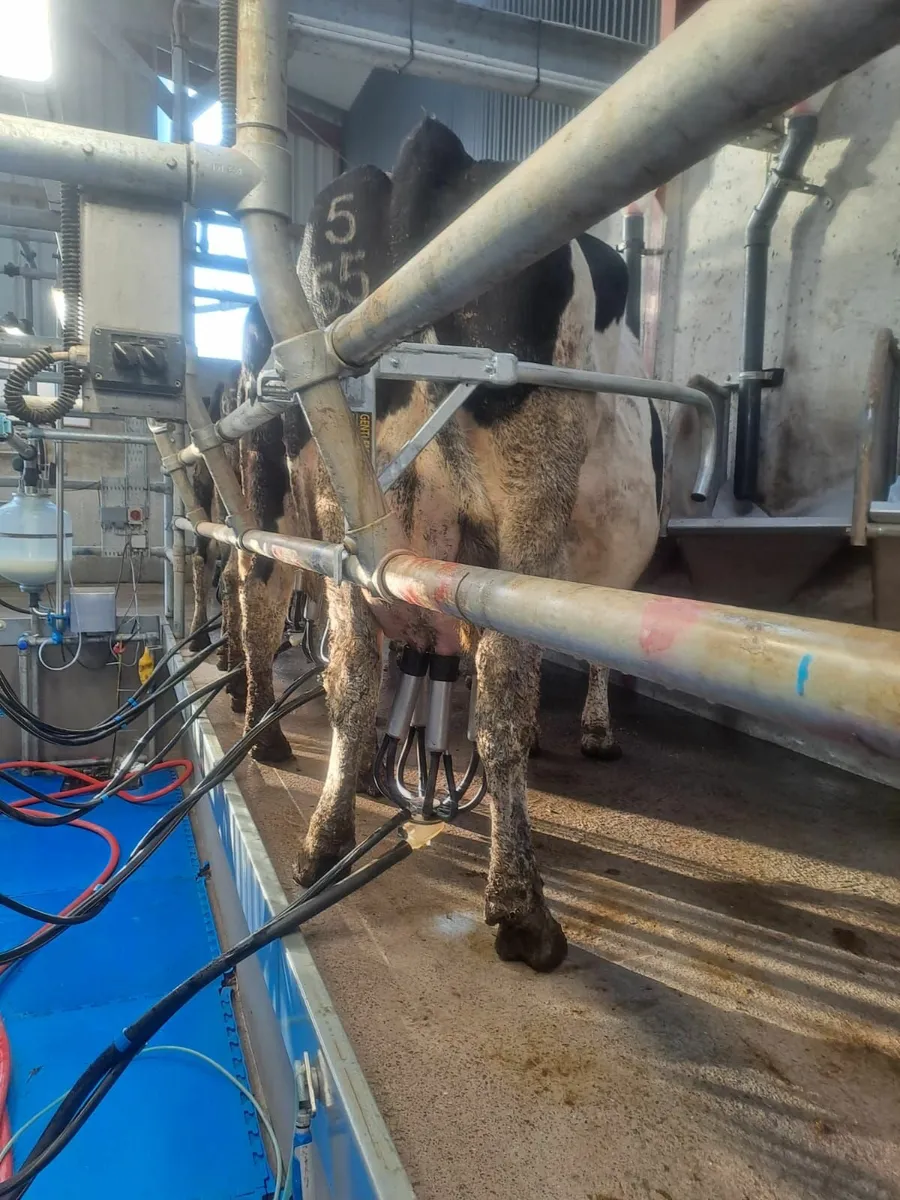 Milking Parlour Multi Parlour Restriction Bar - Image 4