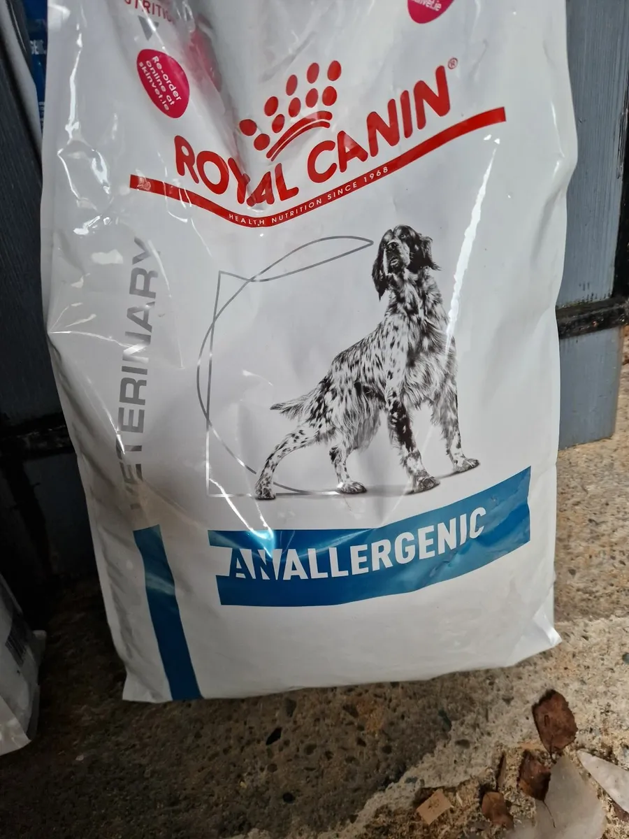 Anallergenic royal canin outlet dog