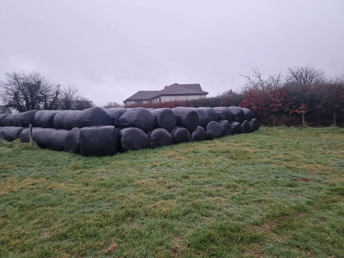 Silage 600 bales