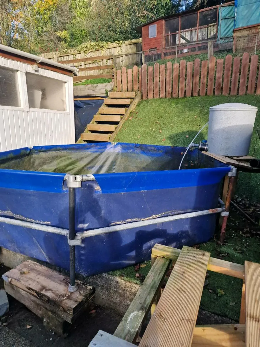 Fish pond system and equipment