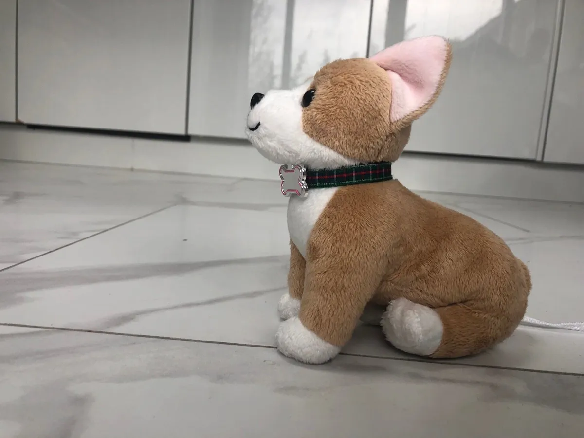 Our generation clearance corgi