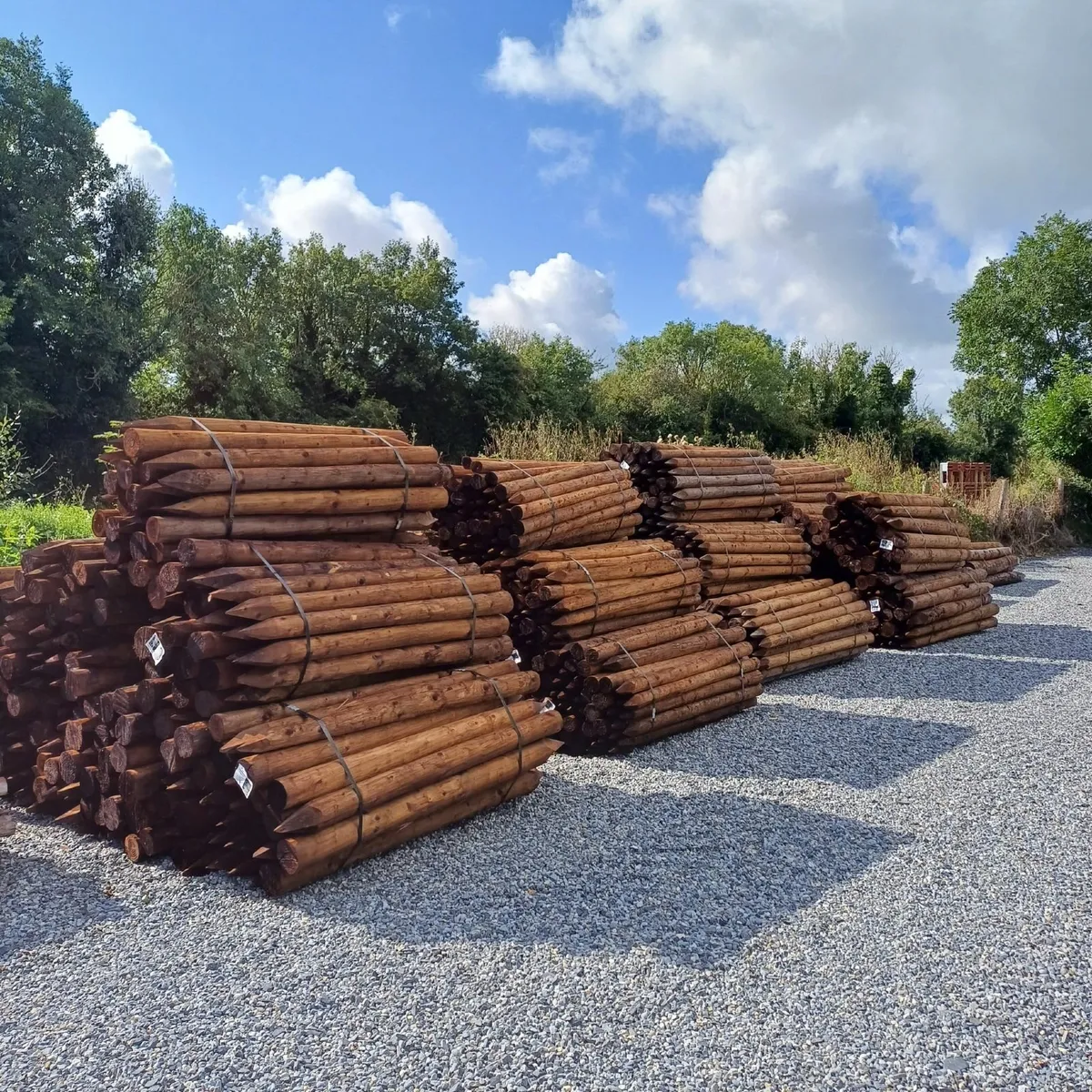 Fencing Posts and Strainers - Image 1