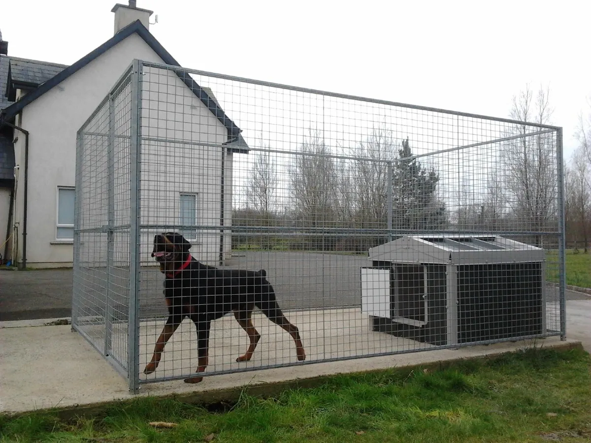 Done deal 2025 dog pens