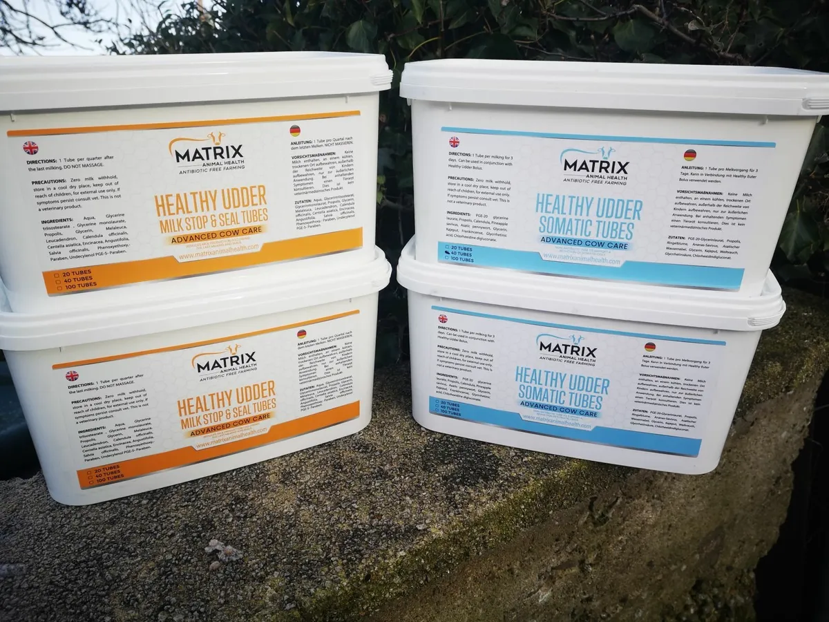 Mastitis cruds, Udder- Zero withdrawal-Sell milk - Image 2