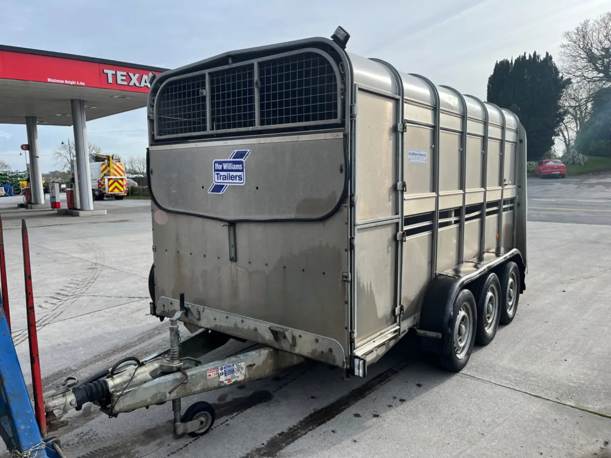 Ifor Williams ta510 12ft Tri axle - Image 4