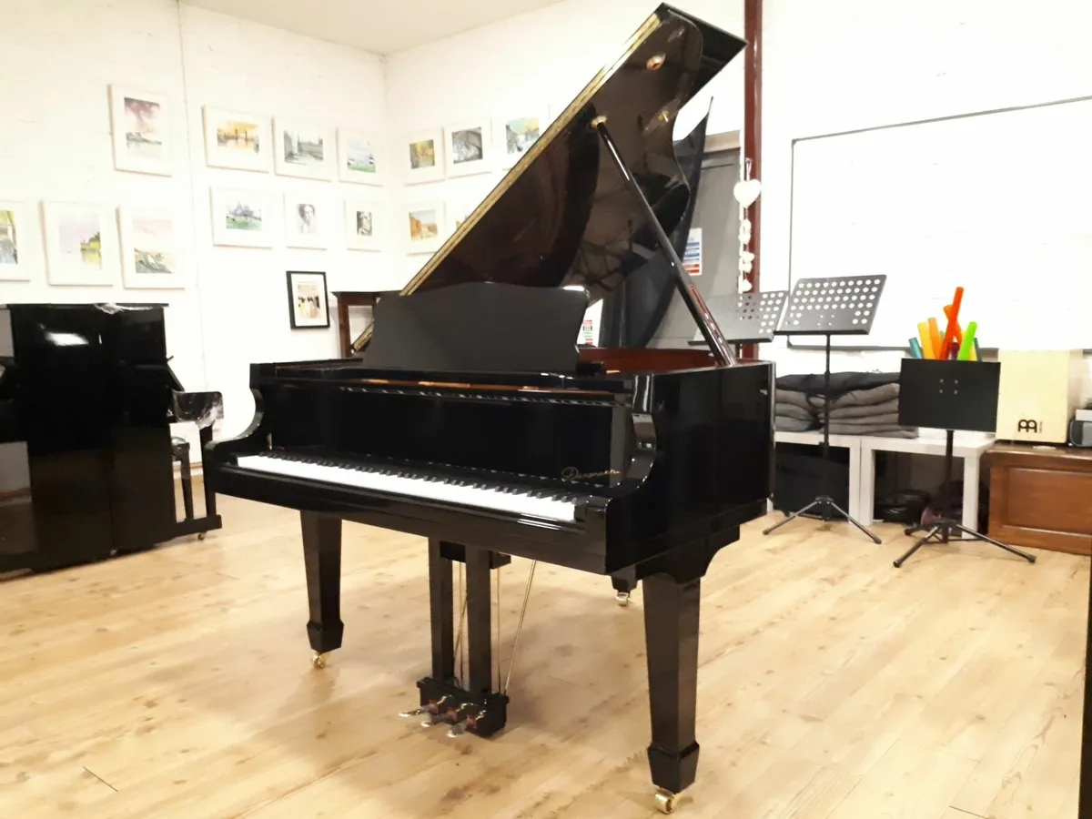 New Danemann DG-152 Ebony Baby Grand