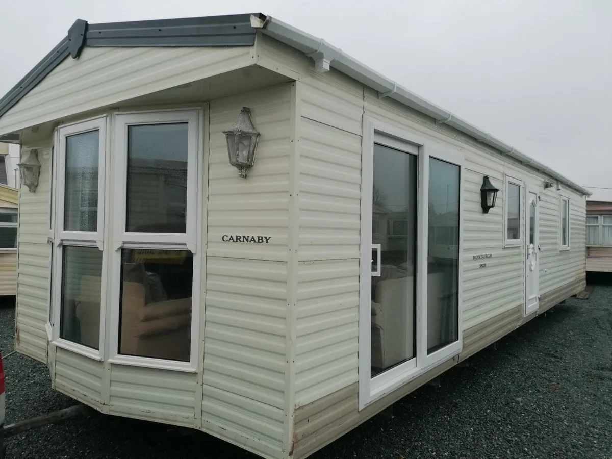 Carnaby Roxburgh for sale in Co. Wexford for €16,250 on DoneDeal