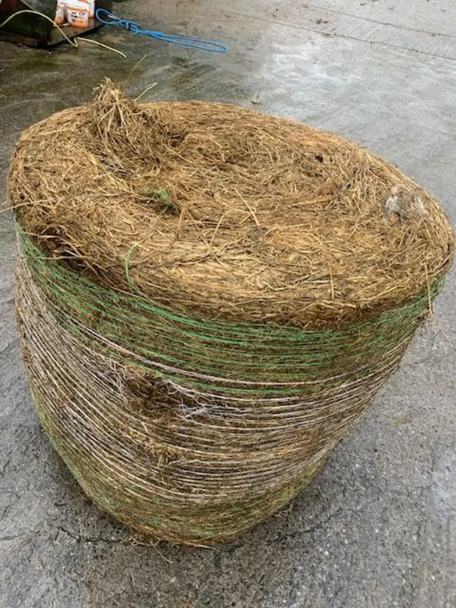 silage and hay