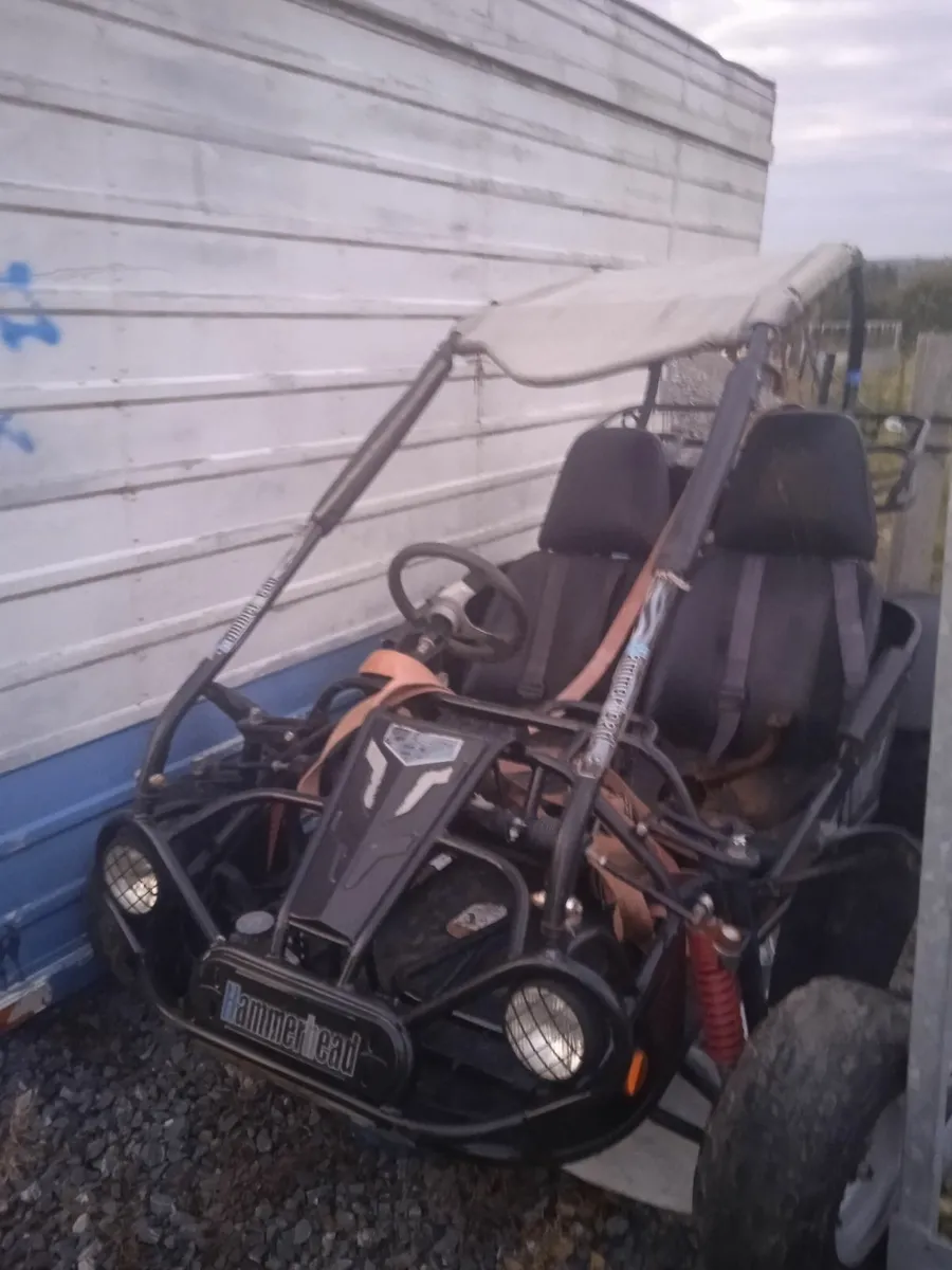 250cc buggy hot sale for sale