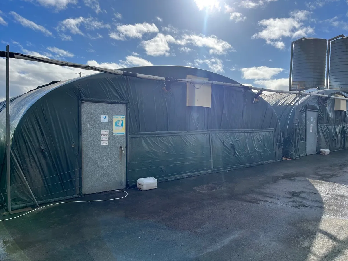 110X30ft tunnels, Meal bins for sale in Co. Cavan for €12,345 on DoneDeal