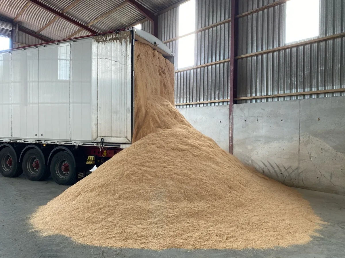 Bulk walking floor loads of sawdust - Image 3