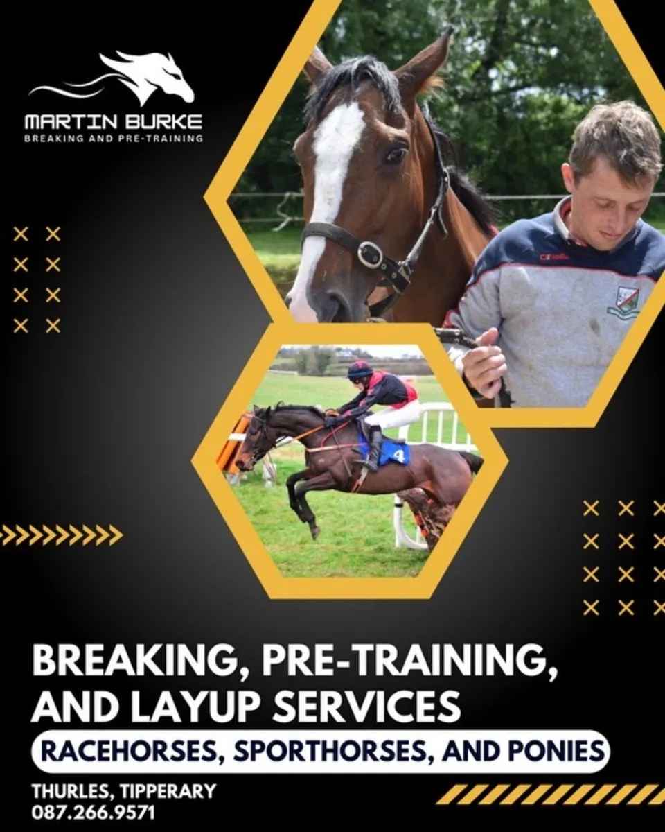 Horse Breaking and Pretraining Services