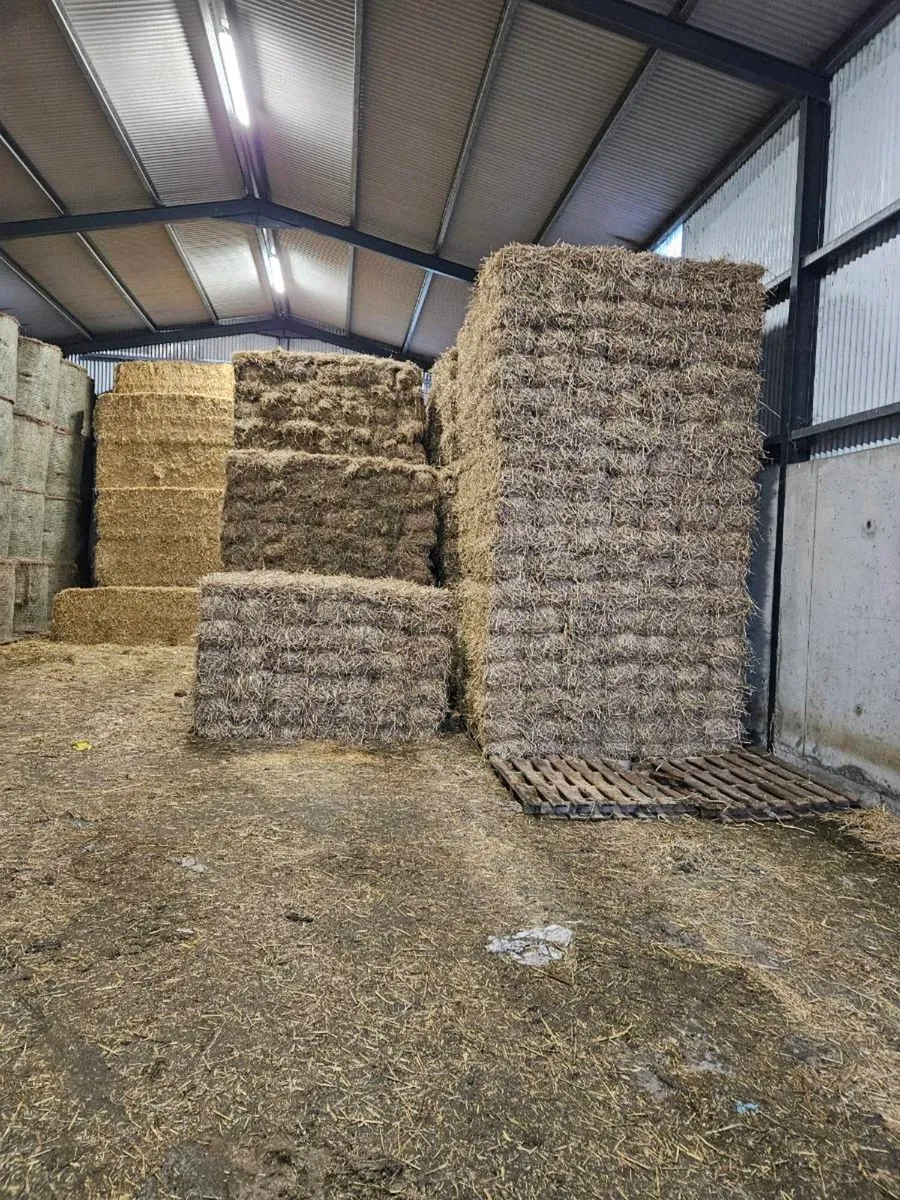 Hay, Round and square.