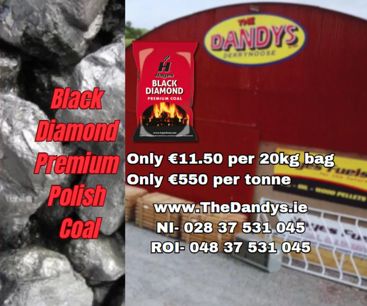 Lowest Cost Hayes Coal