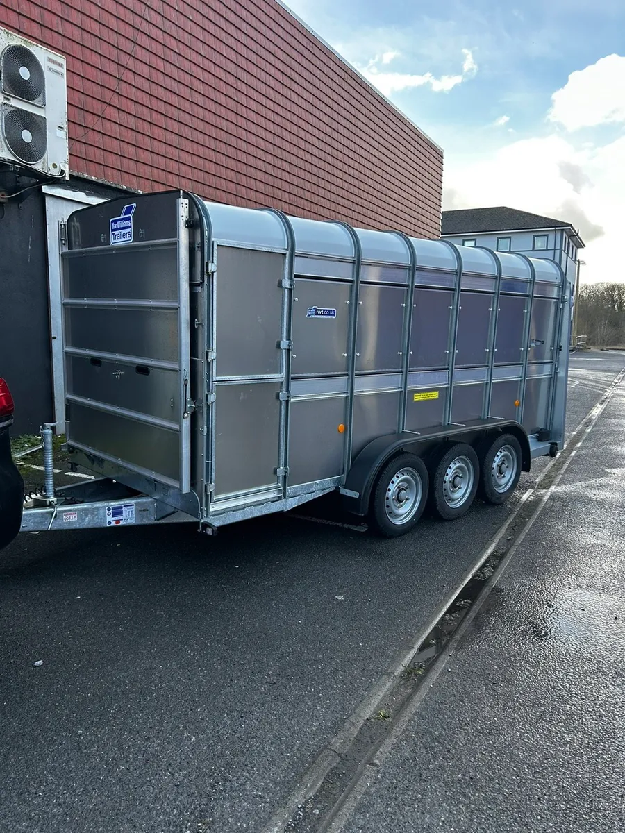 Full range of Ifor Williams Livestock Trailers - Image 4