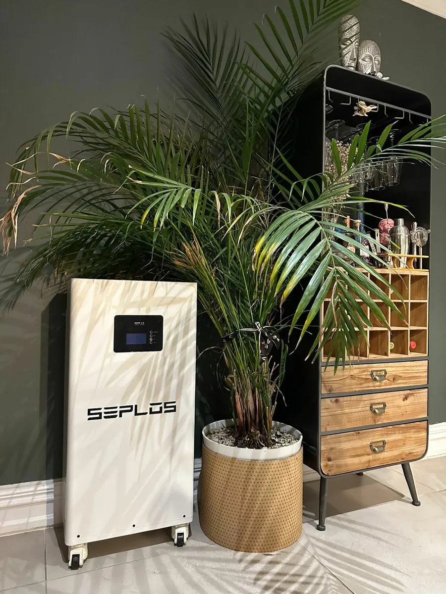 16kwh Solar batteries  Seplos Solis Deye Sofar - Image 1