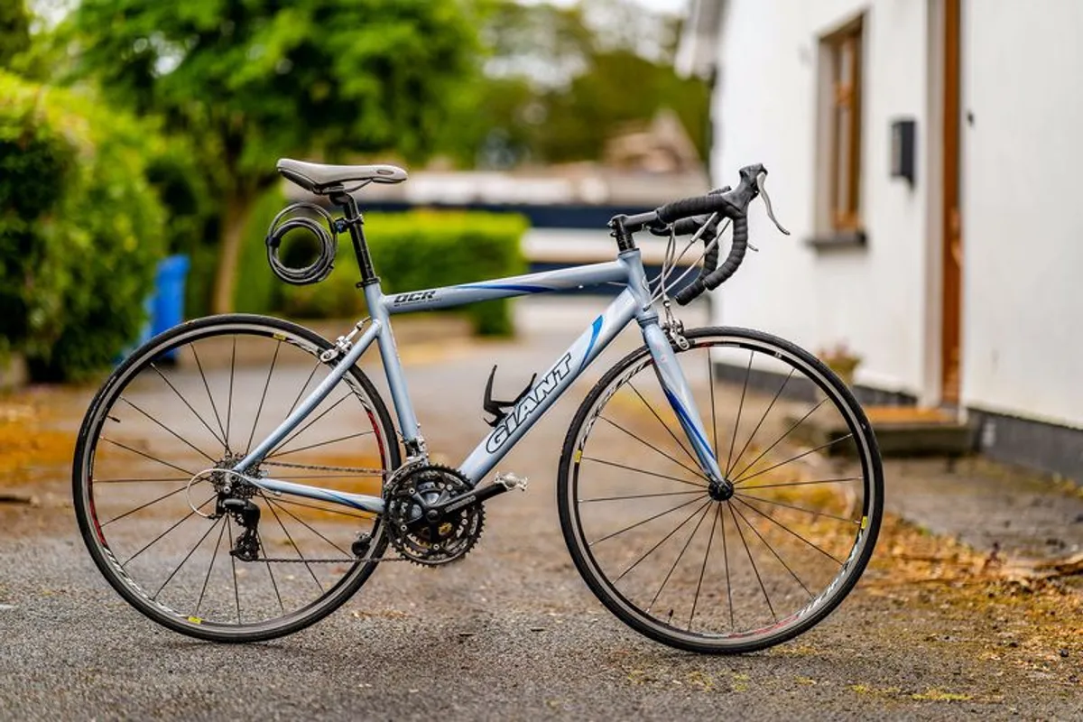 Giant ocr sale one road bike