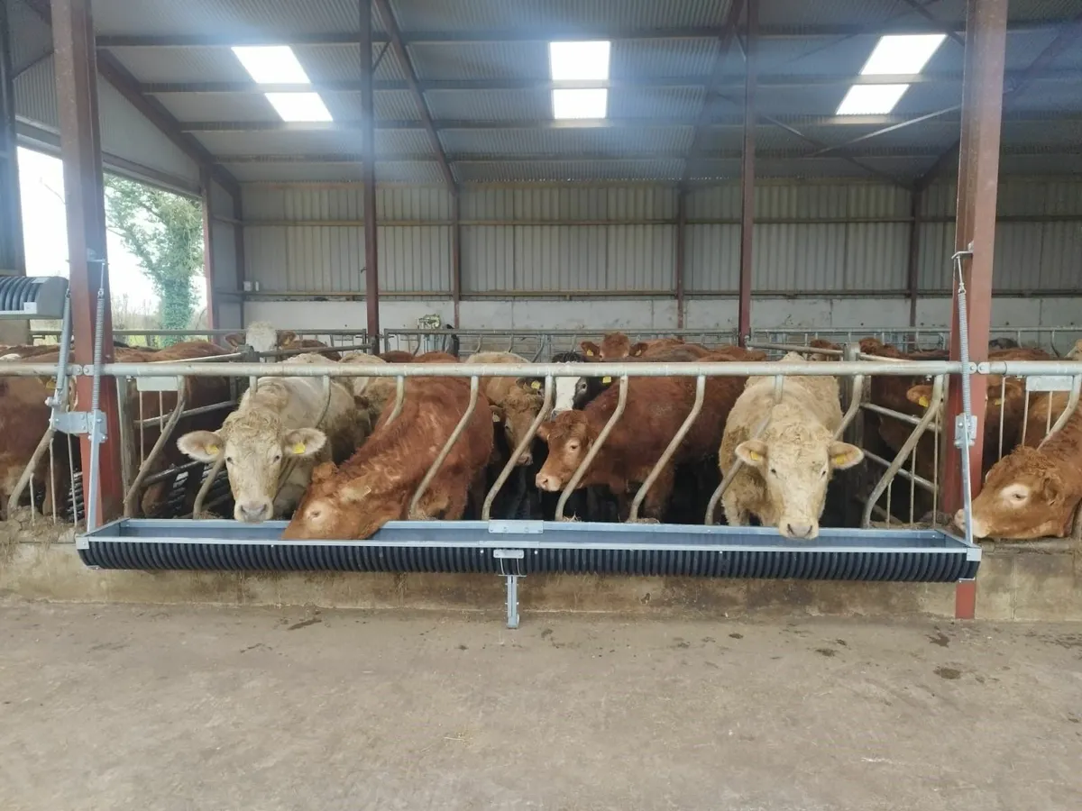 Fold up feed troughs - Image 1
