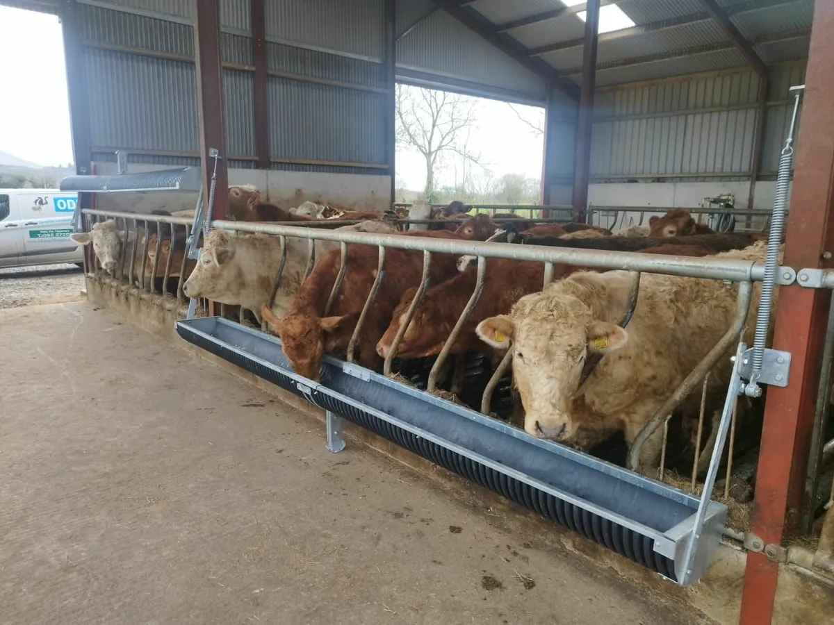 Fold up feed troughs - Image 3