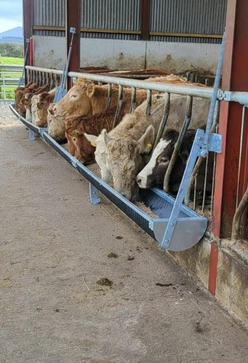 Fold up feed troughs - Image 2