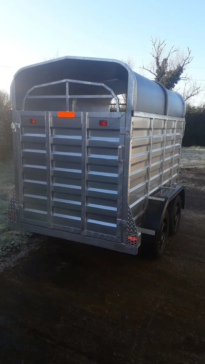Galvanized Cattle trailer