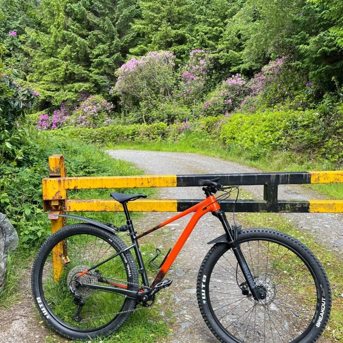 Mountain Bike - Cannondale Trail SE - Size Small