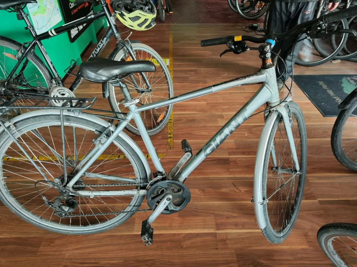 GIANT ADULT BIKES - Image 1