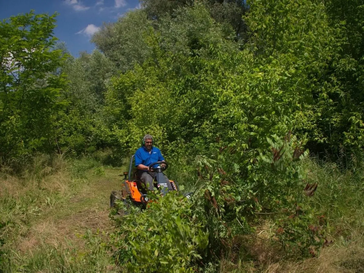 Stella Ride on Flail Mower - Image 3