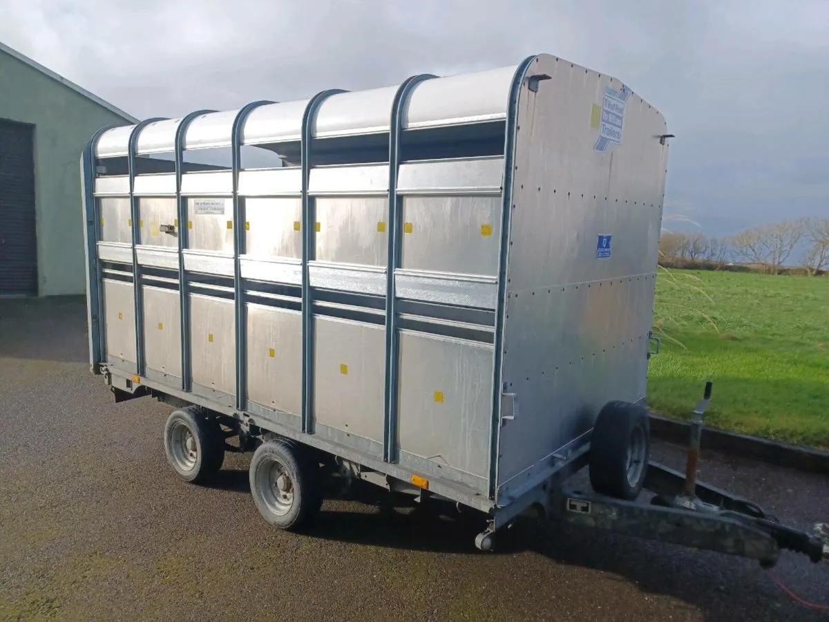 I.W 12 x 6' 6" Cattle Trailer For Sale