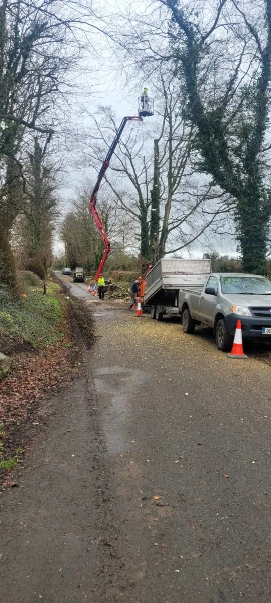 Tree surgeon and woodchipper hire - Image 2