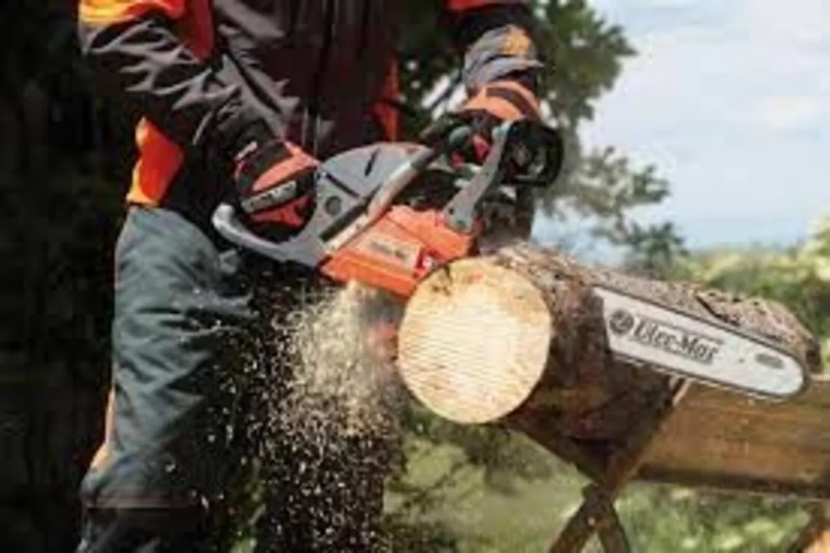 Oleo Mac GSH560 Chainsaw 20" Bar - Image 2