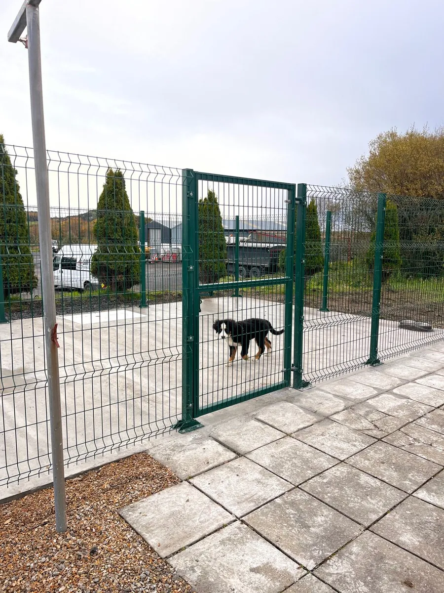 Dog runs pens - Image 1