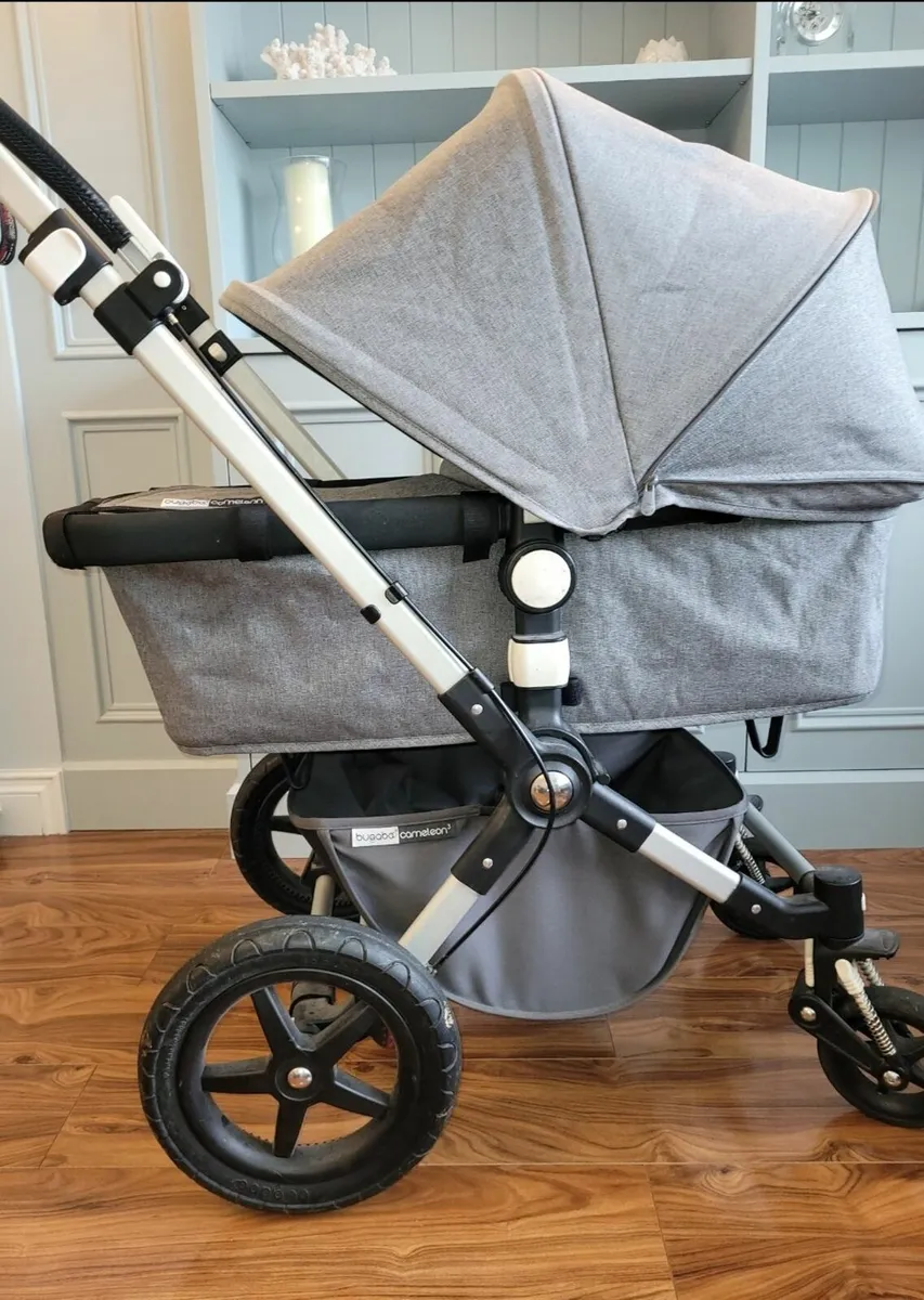 Cameleon buggy outlet