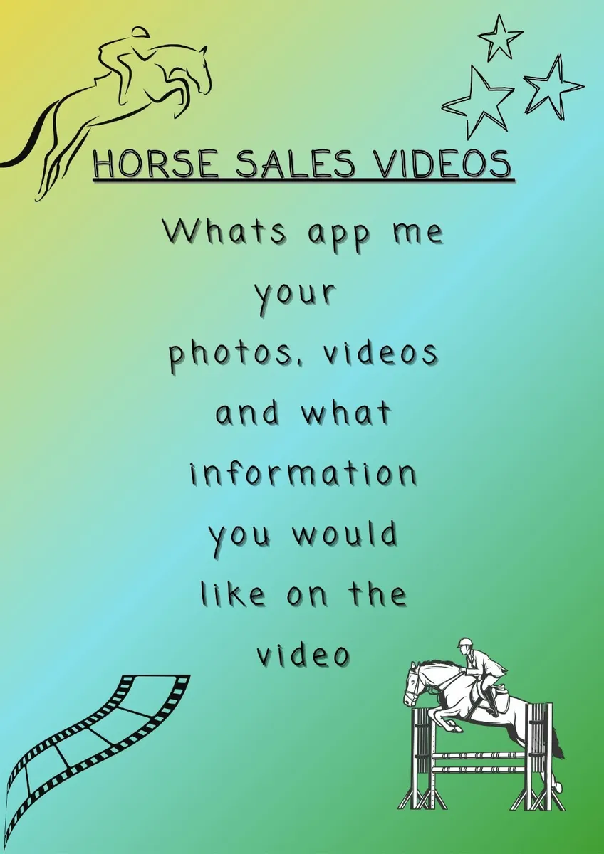 Horse Sales Videos - Image 1