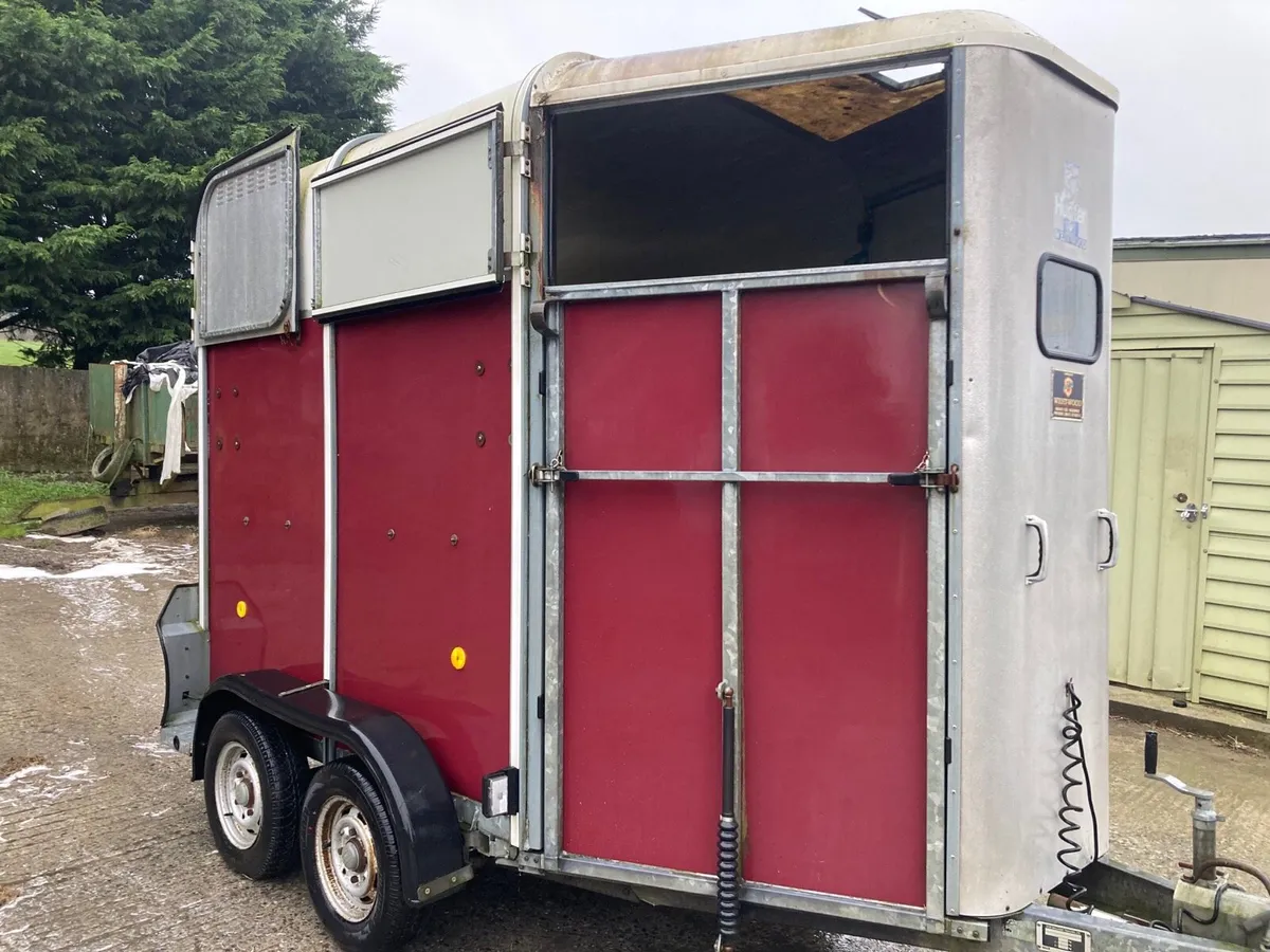 Ifor Williams 505 horsebox