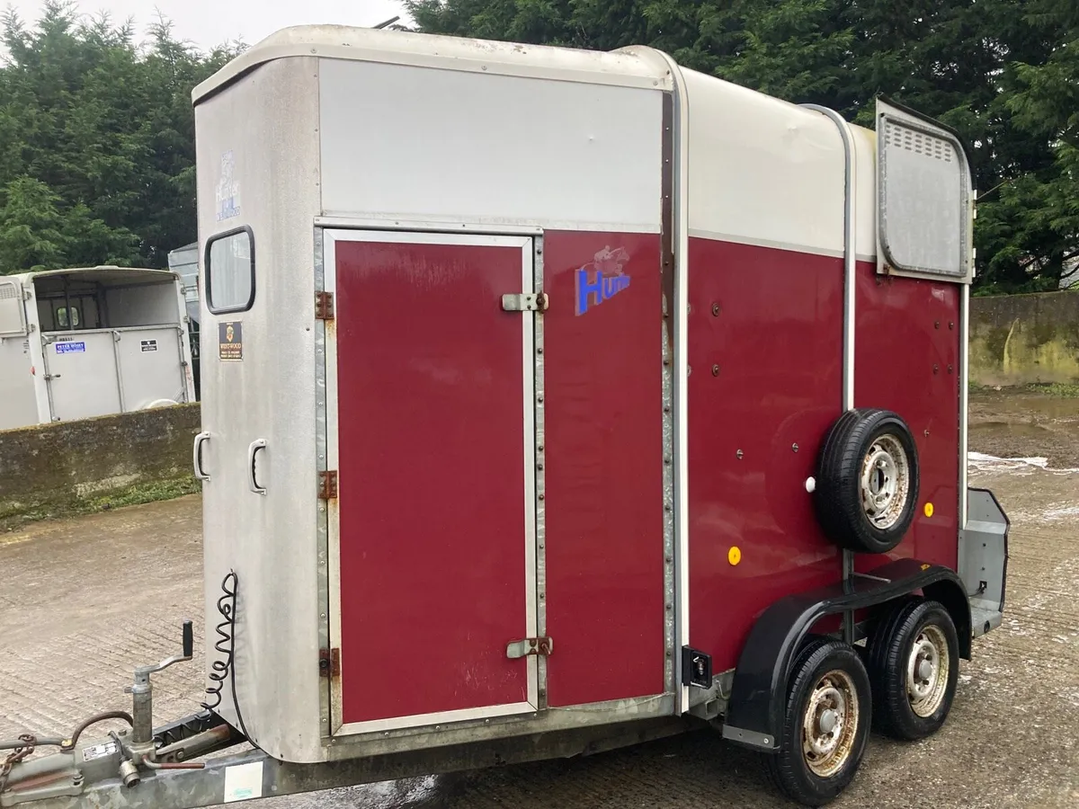 Ifor Williams 505 horsebox - Image 3