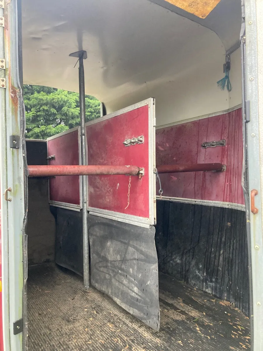 Ifor Williams 505 horsebox - Image 4