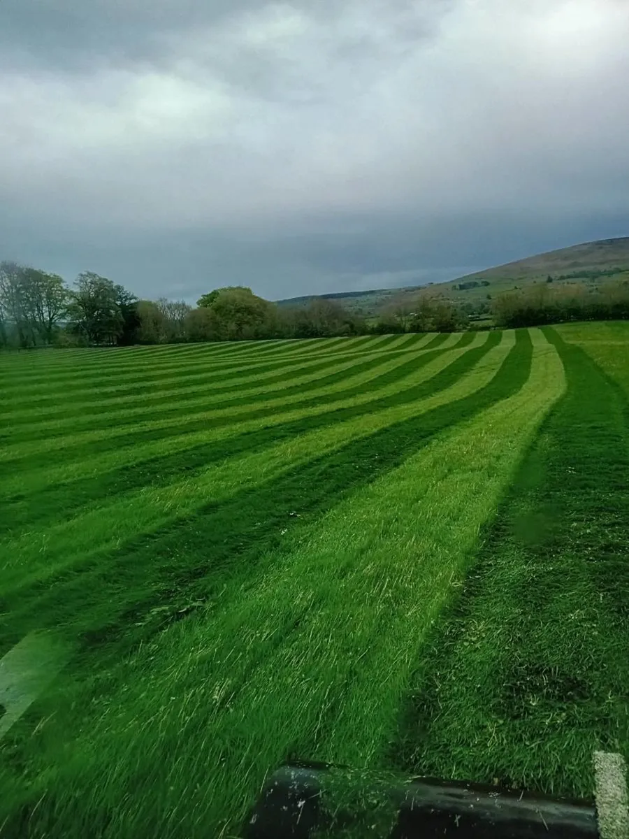 Wanted few acres to rent - Image 3