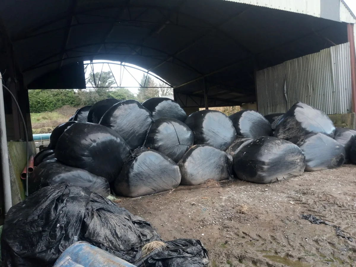 50 Silage bales