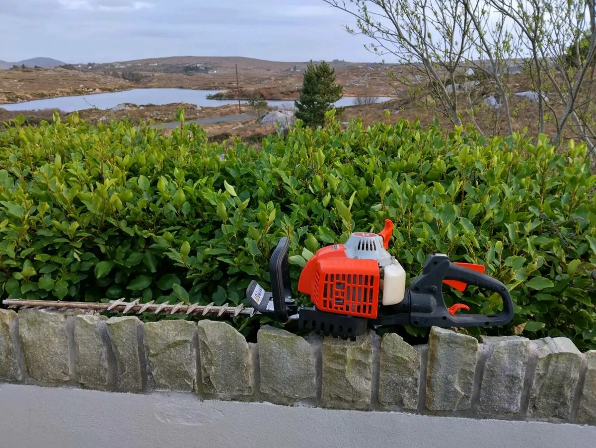 Petrol hedge trimmer on sale for sale