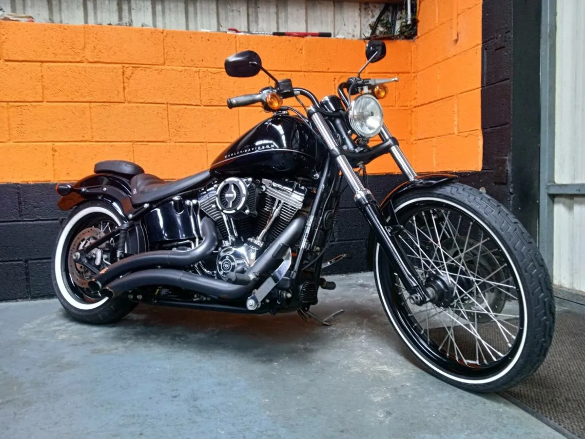 2013 store harley blackline