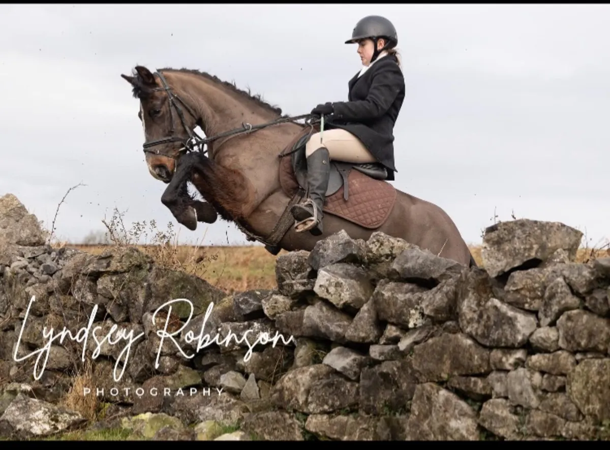 Caherdine miss tilly 5 year old