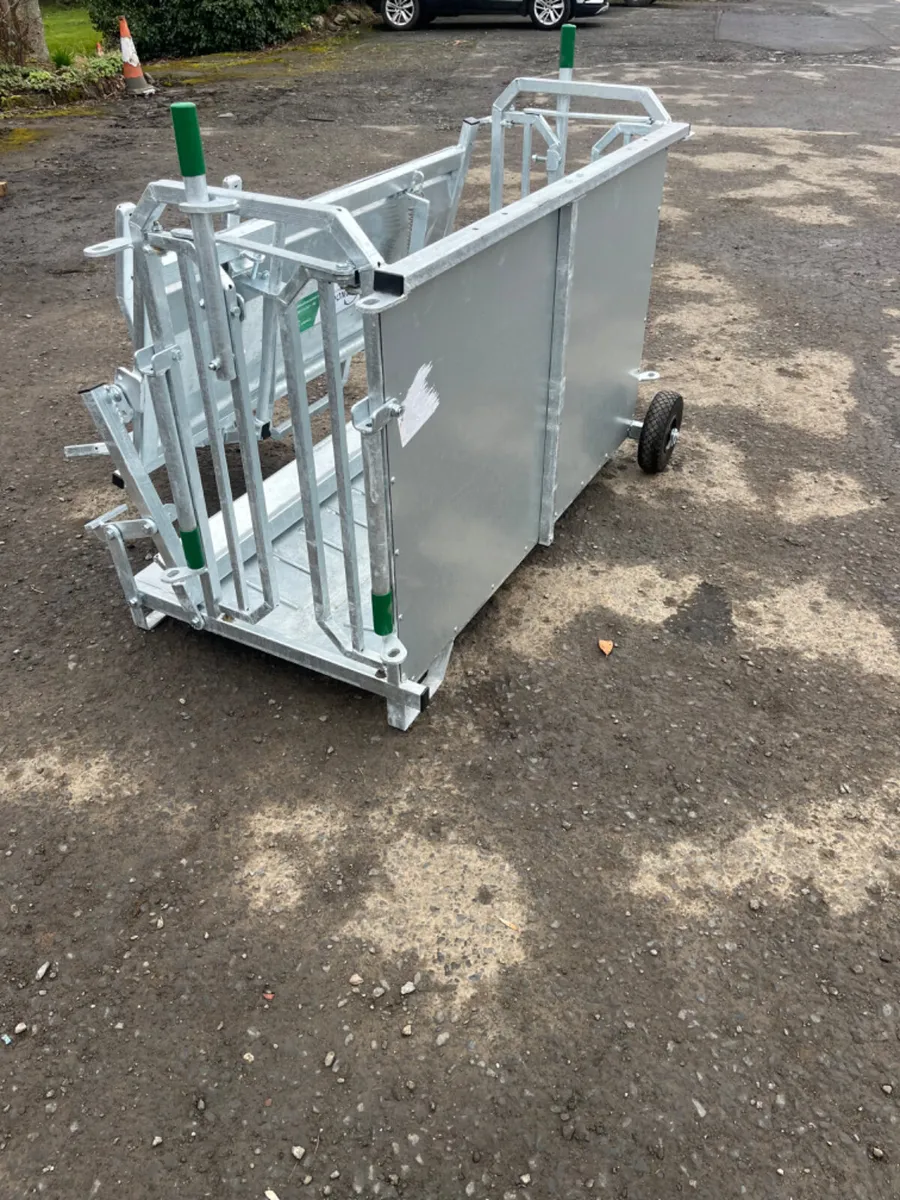 Condon Sheep turn over crate - Image 1