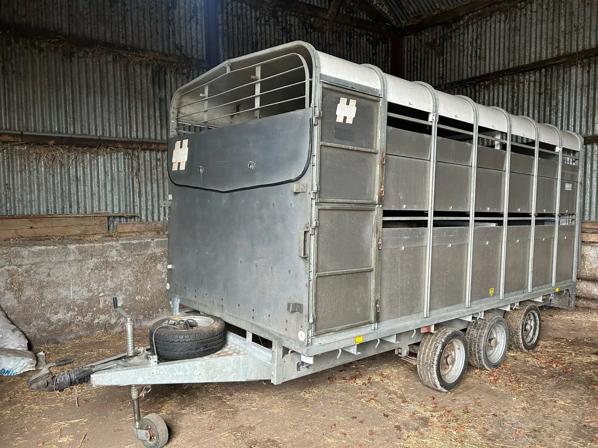 Hudson 14 x 6.6 tri-axle cattle trailer