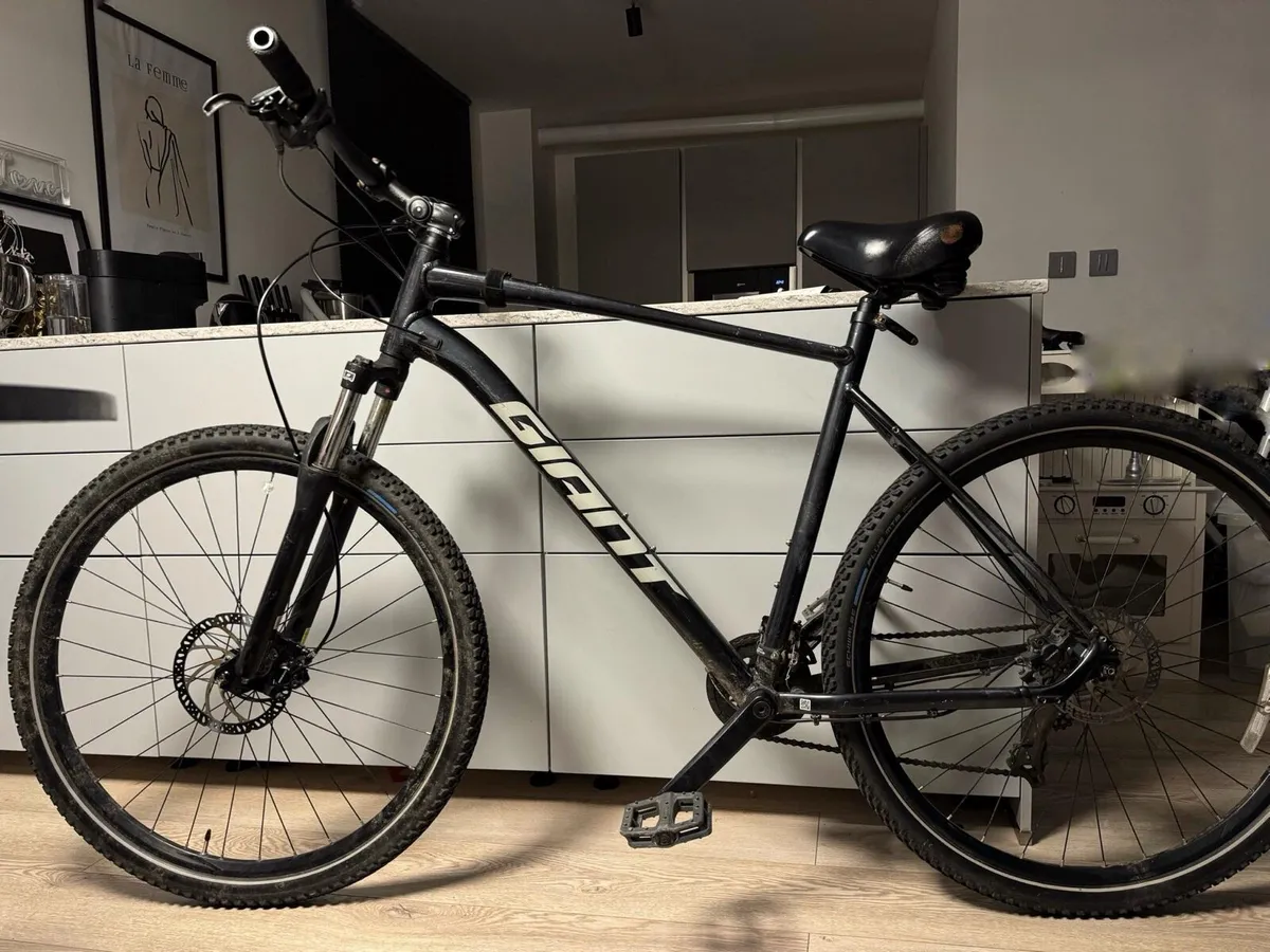 Xxl mountain store bike for sale