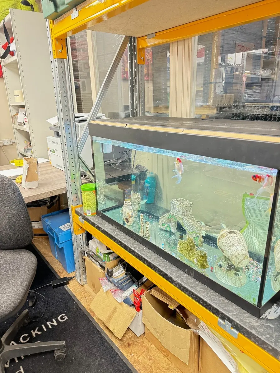 Fish Tank and Fish for Sale - Image 1