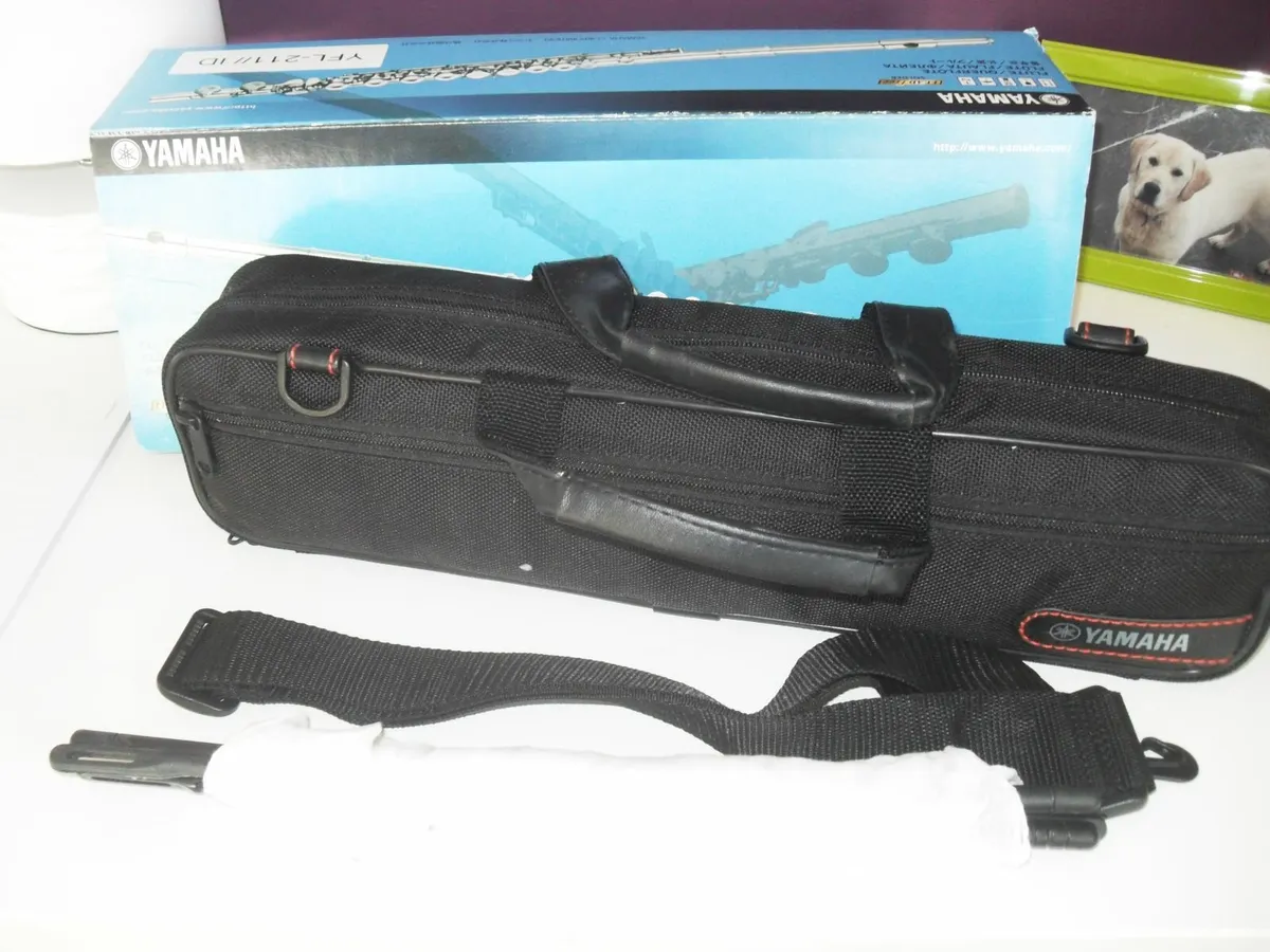 Musical Instrument for sale in Co. Dublin for €495 on DoneDeal